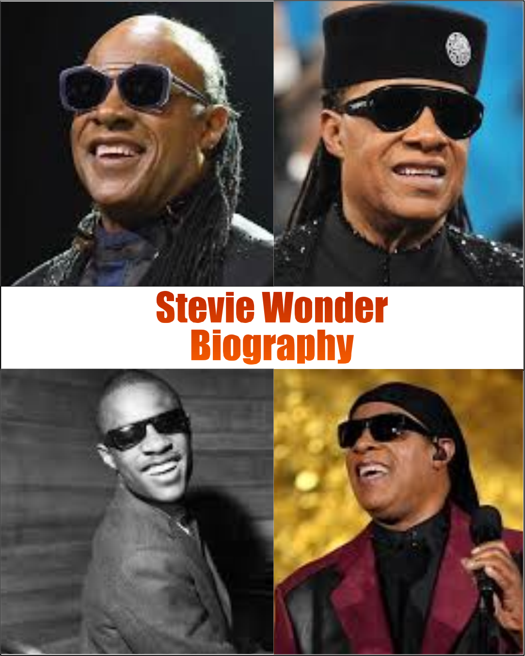Stevie Wonder Biography