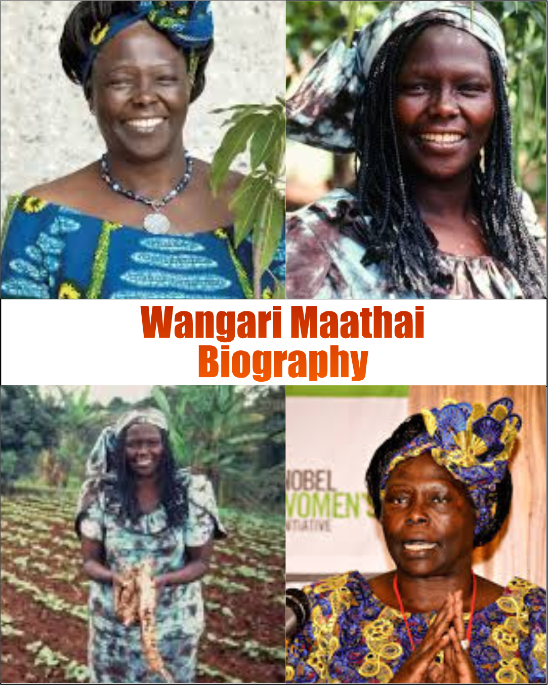 Wangari Maathai Biography
